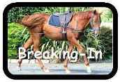Breaking-In 
