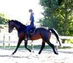 Make it easier for you and your horse