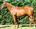Postponed - Night Moves
