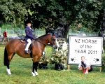 Leeshelle at the Horse Of The Year Show 2011