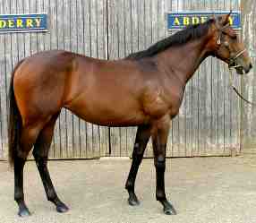Pentire - She's Heaven Cent
