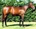 Pentire - She's Heaven Cent