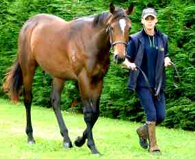 Pentire - She's Heaven Cent