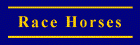 Race Horse Services