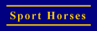 Sport Horses Services