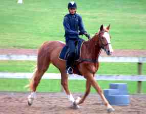 Trevor Cowan & Mizzie Mohd