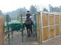 Racehorse Barrier Training