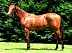 Lot 808